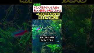 石破茂「トランプはすぐキレて大変wぜんぶ損得だからw」→高市首相の訪米前にトランプを煽りまくる