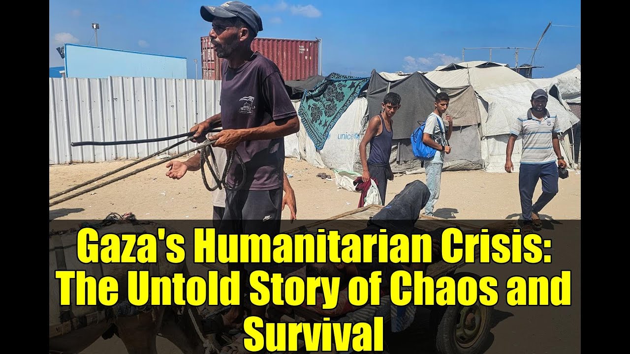 Gaza's Humanitarian Crisis: The Untold Story of Chaos and Survival