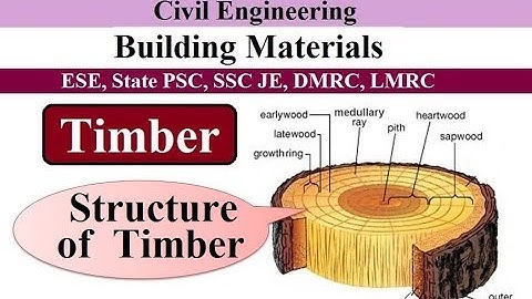 Structure of Timber | Timber | Building Materials