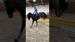 Dressage horse goes jumping 😂🐴 #equestrian #horse #shorts