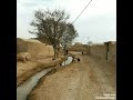 الفنان الكبير ابو هادي الاستفسار اتصال 07802119665 للكعدات الخاصه والعراس عازف العود رامي الباشا