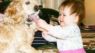 Cutest Babies And Dogs Doing Crazy Things Together | Cute babies Compilation by ASMR Life 10,232 views 4 years ago 10 minutes, 45 seconds