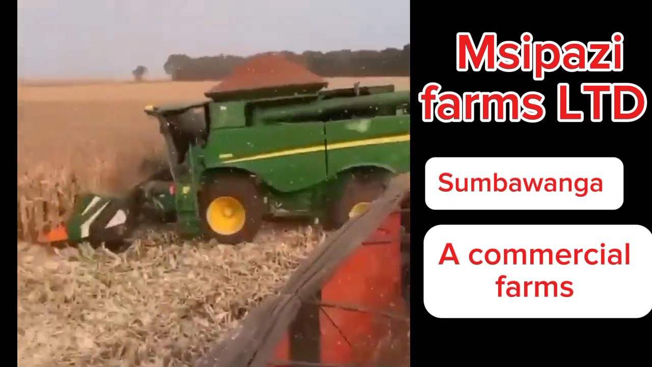 Shamba kubwa na la kisasa Tanzania|| Msipazi farms