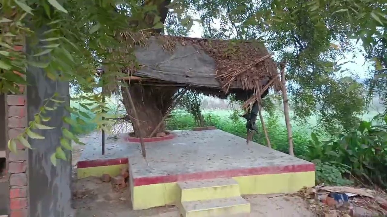 Fasal Bhi Taiyaar… Sapna Bhi 🌅 | Village Vlog Day 6 #youtubevlog #goodmorning #suscribe 