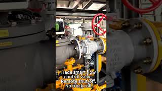 Hade flow control valve Ex certified,IP66,remote control.#FlowControlValve #SmartValve