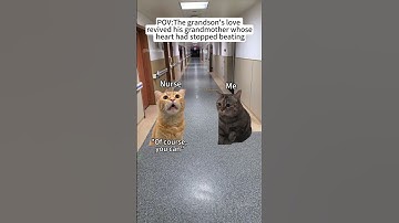 CAT MEMES🐱The grandson