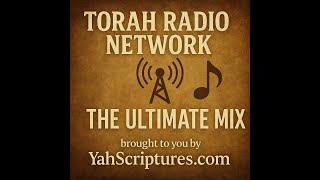 🎶 Welcome to the Torah Radio Network — LIVE 24/7! 🎶 screenshot 4