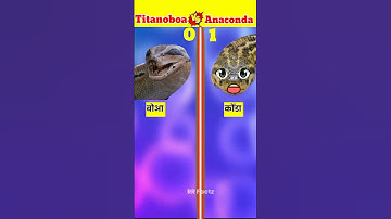 Thumbnail of Titanoboa v/s Anaconda || full comparison video || #shorts #animals #ytshorts