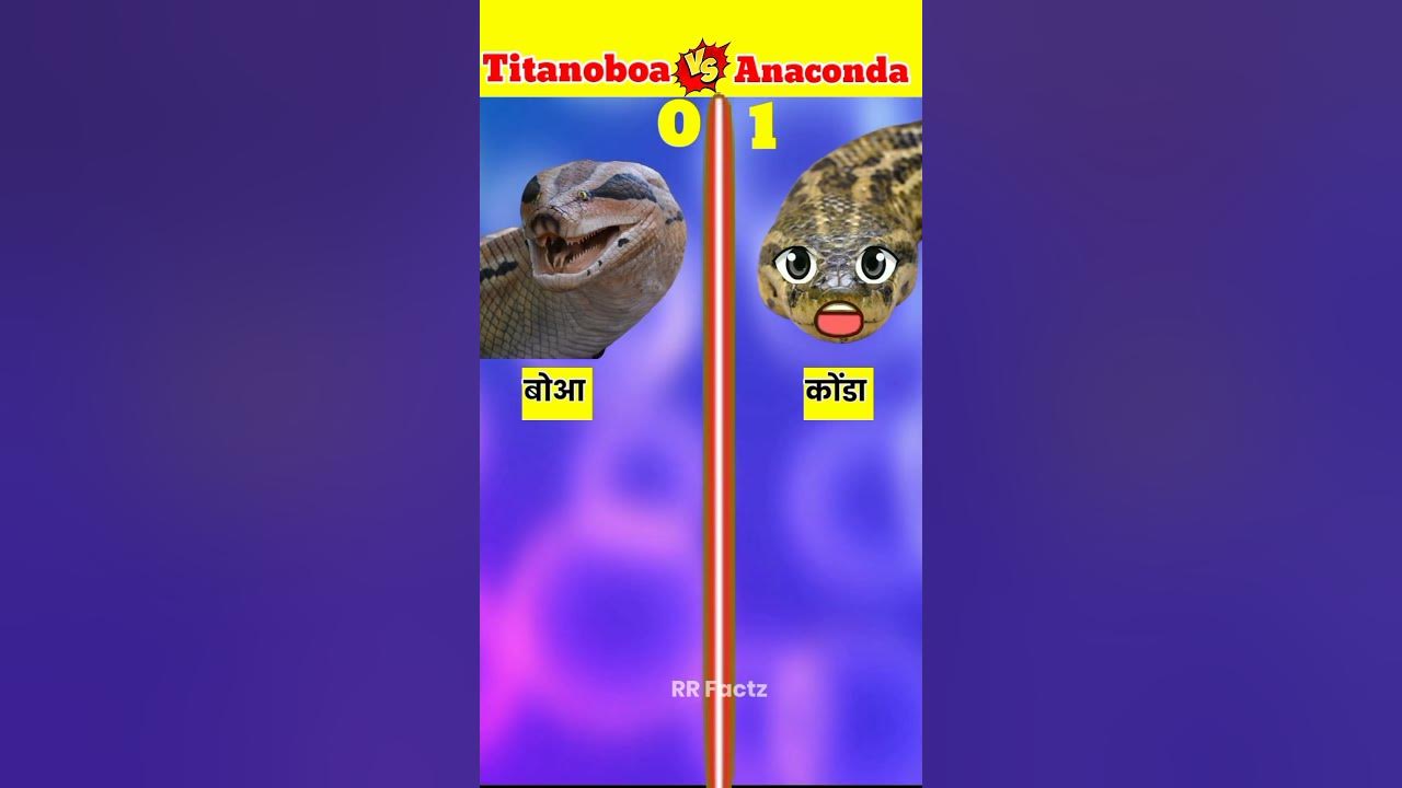 Titanoboa v/s Anaconda || full comparison video || #shorts #animals #ytshorts