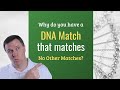 Why Doesn't a DNA Match Match Any Other Relatives? | Genetic Genealogy