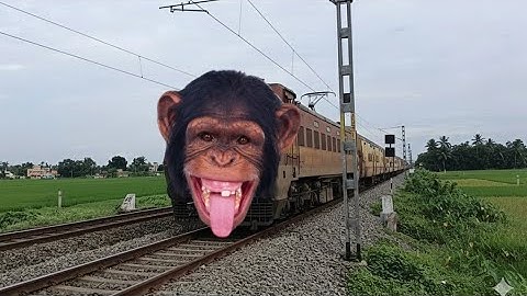 Dangerous Monkey Headed Malda intercity Express Extreme Angry Furious Moving Throughout at Railgate 