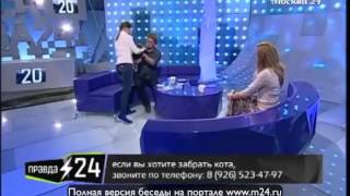 Полюбили кота Полюбили кота