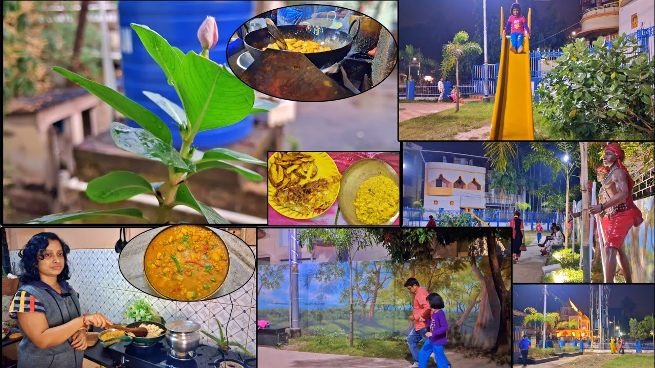 ঝড় বা বৃষ্টি হোক হাতের কাছে সব গুছিয়ে রাখলে সংসার সামলাতে সময় লাগে না, গড়িয়ার পার্কে গেলাম 