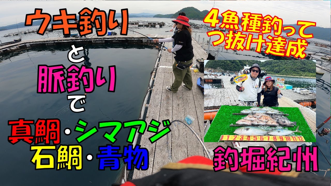 【海上釣堀】釣堀紀州でウキ釣りと脈釣りで真鯛、シマアジ、石鯛、青物を釣りまくる！