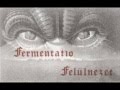 Fermentatio  fellnzet  full album 