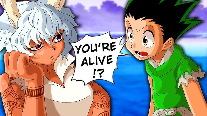 Hunter x Hunter After The Anime! Hisoka's Death and Gon Loses Everything! 