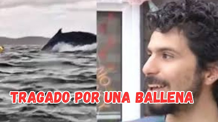 Padre graba el momento que ballena traga a su hijo y luego lo escupe
