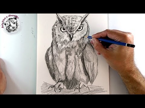 Video: Cómo Dibujar Un Búho Con Un Lápiz