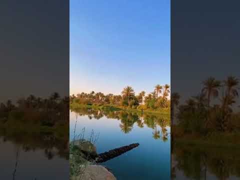 بعد ماكو حلو تاخذ روحي من تمر