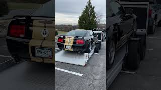 Mustang loading on Futura Trailer