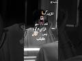 ٣٠ نوفمبر ٢٠٢٤