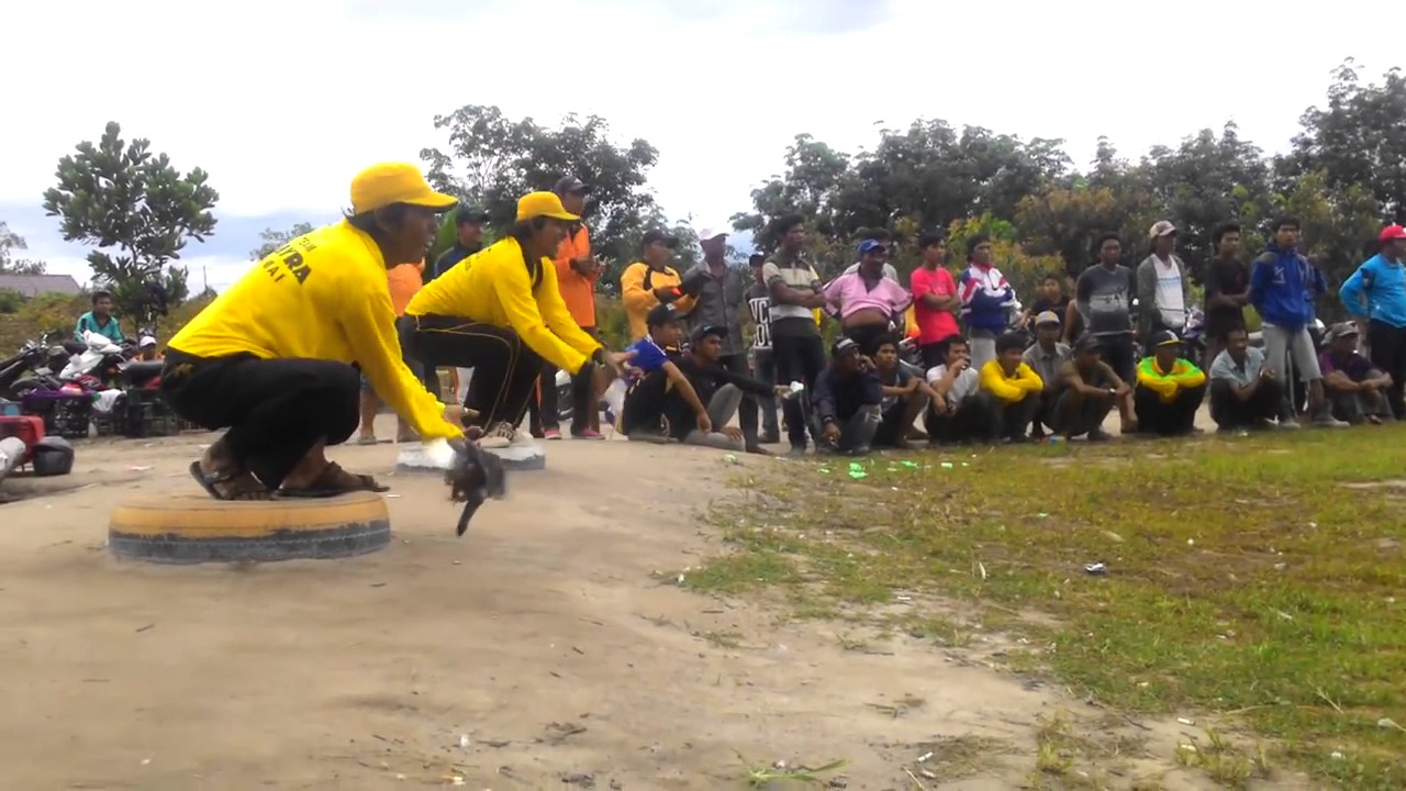 LOMBA BALAP MERPATI 