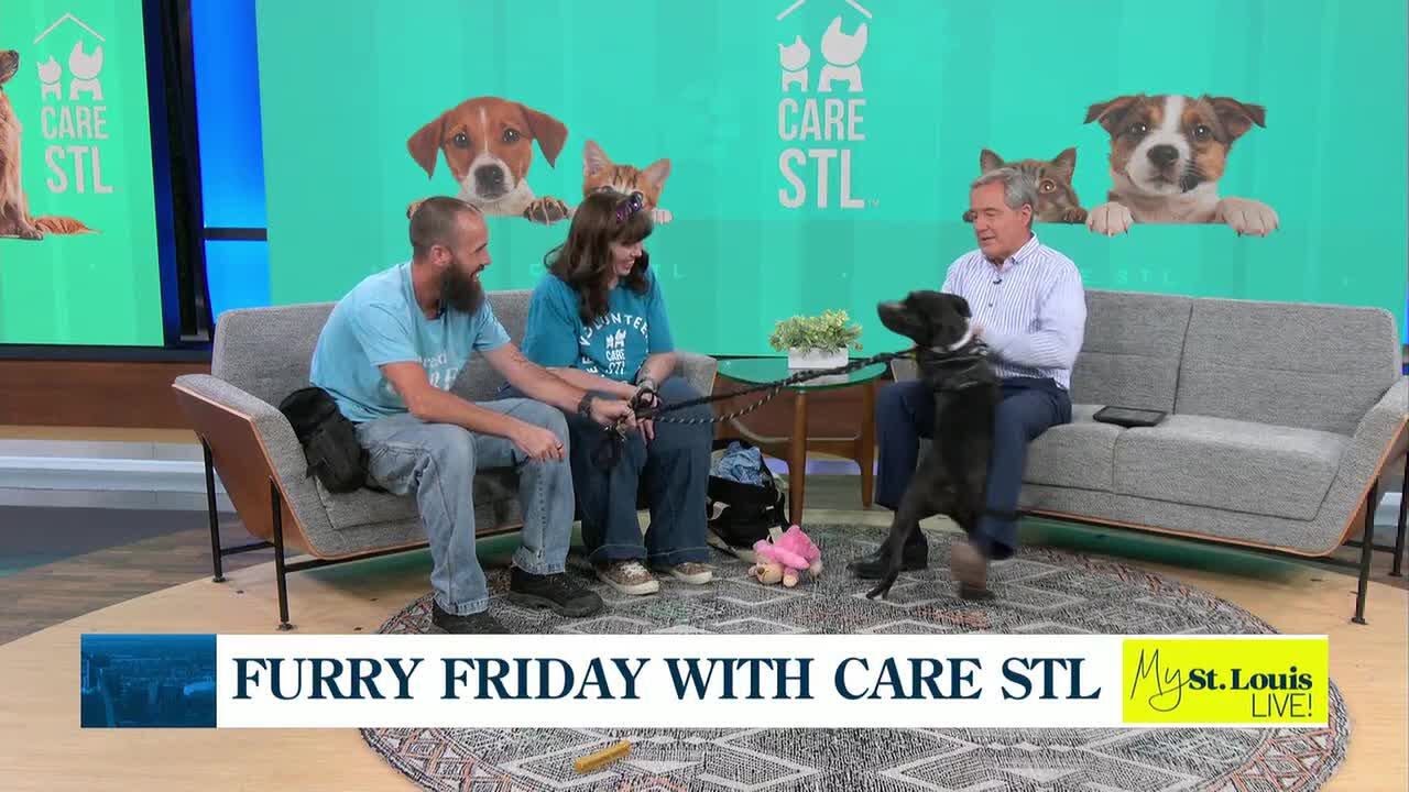 Furry Friday with CareSTL