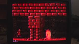 Prince of Persia - SNES - Gate Thief #1 - Level 11 - 0:56 - 394 - 3309 - 60fps