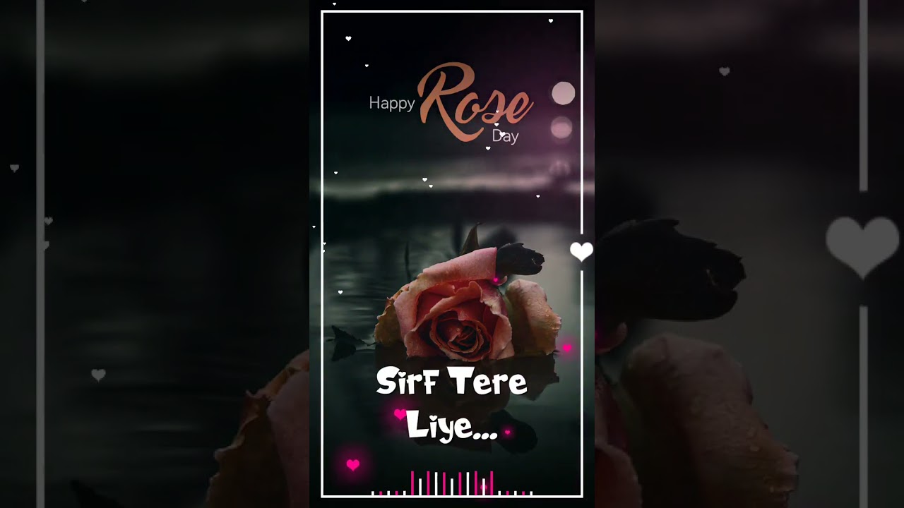 Happy rose day🌹 status 2023 / Happy Rose day Full Screen Status  