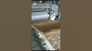 Pet biscuit production line