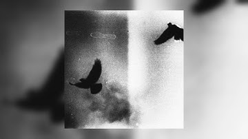 [FREE] Dark Sample pack "Relocation" (Travis Scott, Don Toliver, Pink Floyd, Loop Kit)