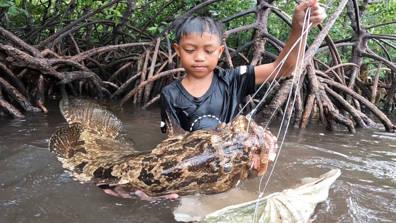dito pala nag tatago ang mga giant grouper sa  malawak na mangrove forest 😱