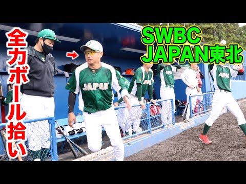 トクサンがベンチ…ハイレベル紅白戦！SWBCJAPAN東北の猛者たち