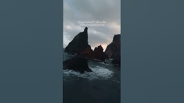 محمود فياض الحمود | سورة الفجر الآيات 1 - 14