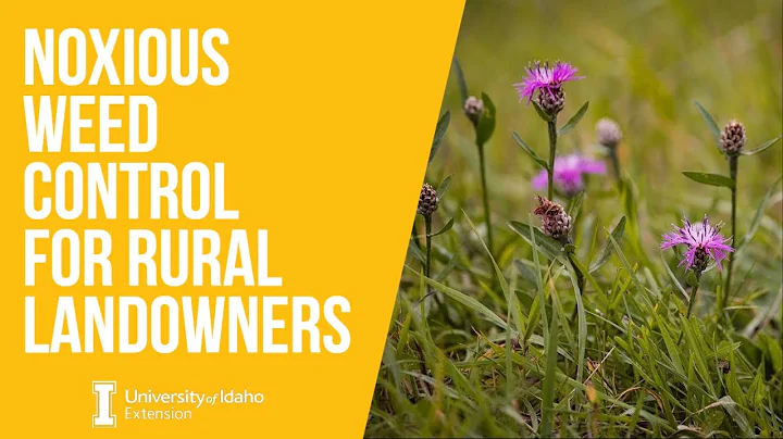 Part 7: Local Weed Control Resources - Noxious Weeds Clinic
