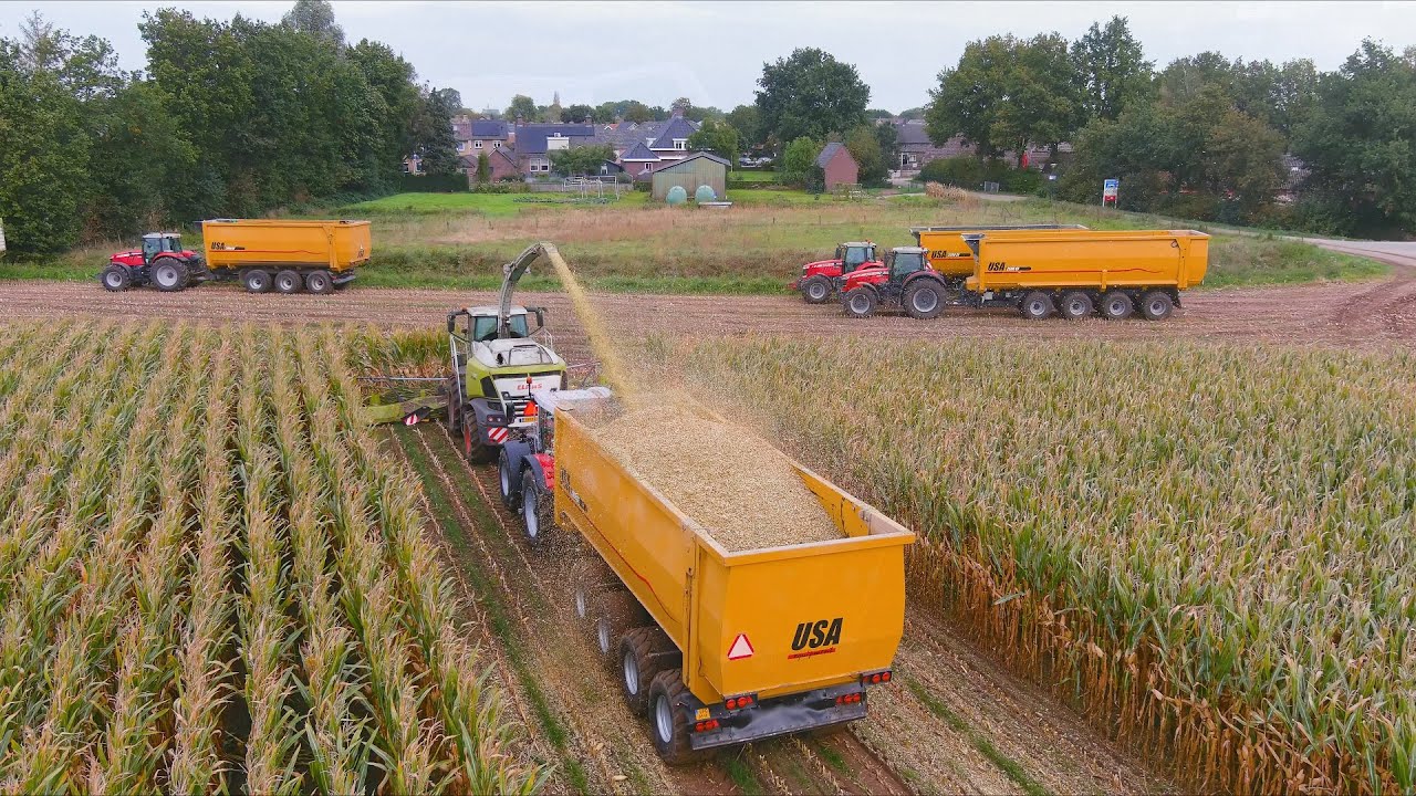 Mais 2023 : USA Equipment | Vreba Dairy | Claas Jaguar 990 | Massey Ferguson | 4 Axle trailers | 4K