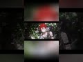 【サビ歌ってみた】 プルメリア。/KnightA- 騎士A-様