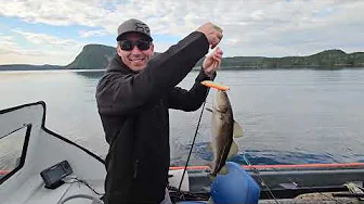 We caught a SHARK on our first fishing trip in Newfoundland!