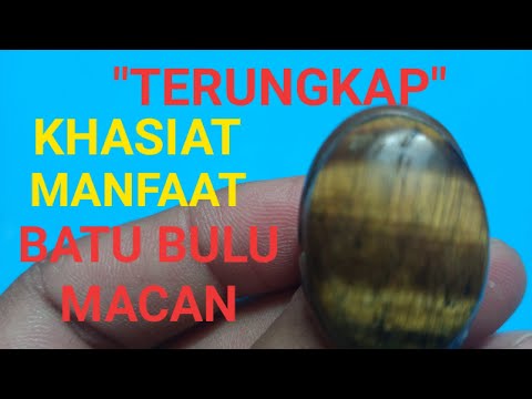 Tiger Eye adalah sebuah jenis batu mulia yang berwarna keemasaan sampai dengan coklat tua dengan cor. 