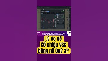 Lý do Cổ phiếu VSC đột biến Quý 3? #tobuonchungkhoan #chungkhoan #vnindex #cổphiếu #VSC