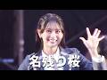 AKB48 - 지다 남은 벚꽃 (AKB48 - 名残り桜)