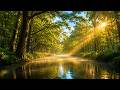 🍃 Relaxing River Sounds with Soothing Music for Stress Relief and Calmness