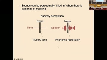Josh McDermott, From Vision to Audition. At TedFest.