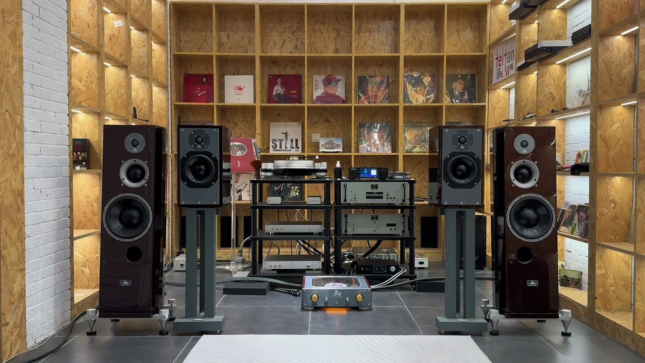 用HiFi音响听   张韶涵《遗失的美好》 要听张韶涵必须先听2003年版本的这首《遗失的美好》#应粉丝要求 #张韶涵 #遗失的美好 #发烧hifi #80后