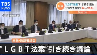 “ＬＧＢＴ法案”引き続き議論 今国会での成立厳しい見通し