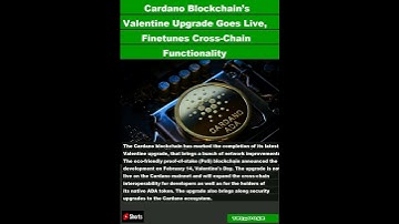 Cardano Blockchain’s Valentine Upgrade Goes Live, Finetunes Cross-Chain Functionality|#shorts