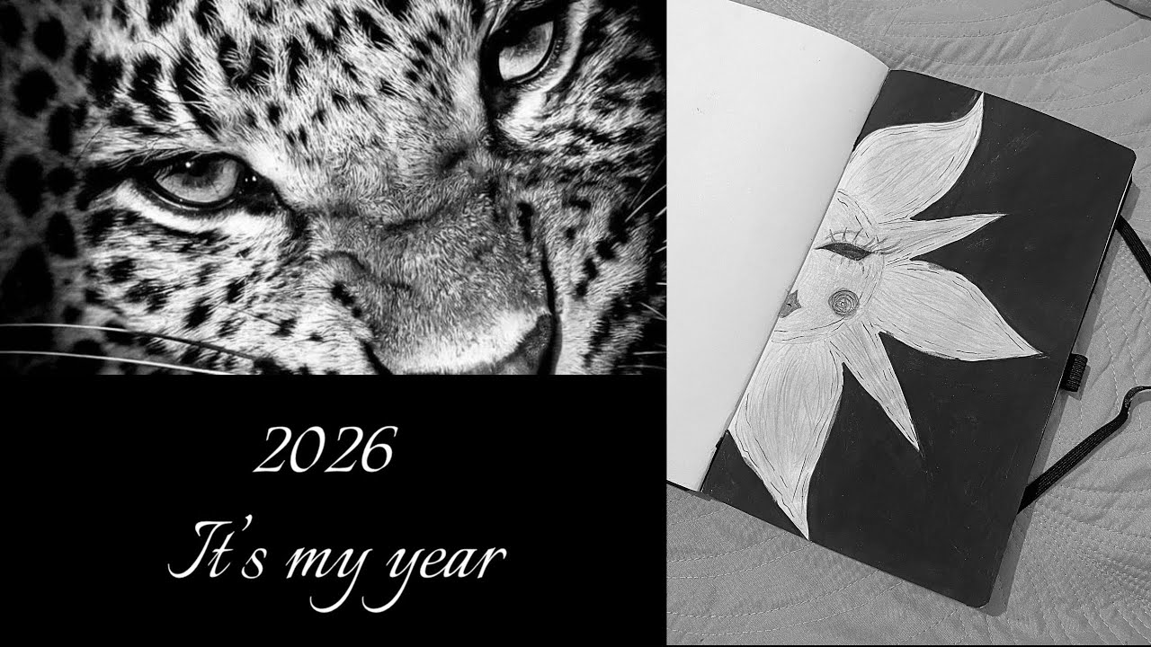 Organização do meu 2026: Vision board, metas, planner+