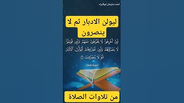 ليولن الادبار ثم لا ينصرون #احمد_سليمان_ابوالبراء #اكسبلور #راحة_نفسية #تلاوة #حالات_واتس #explore