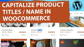 How to Capitalize Product Titles in Shop & Single Product Pages in WooCommerce | Product Names