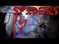 ARACHNOPHOBIA ENGAGED! | CAVE OVERRUN WITH SPIDERS!